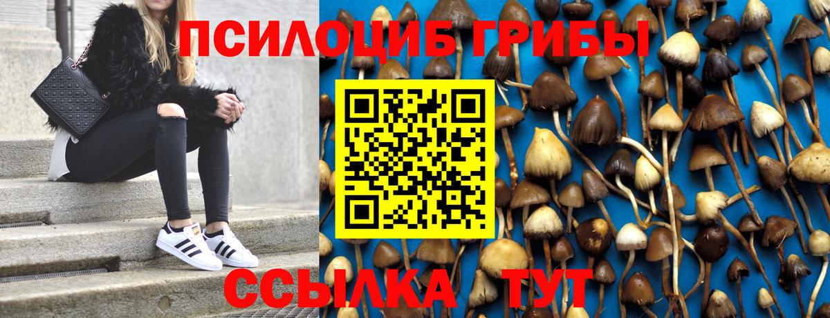 Галлюциногенные грибы Magic Shrooms Сызрань